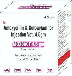 Amoxicillin Sulbactam Injection