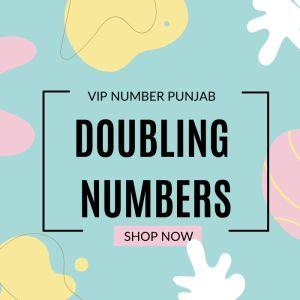 Doubling Vip Number - Punjab