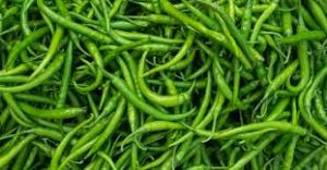 Fresh Green Chilies