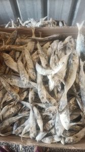 Dry Fish