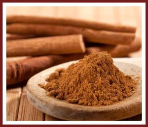 Cinnamon extract