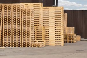 Pine Wood and Jungle Wood Pallets