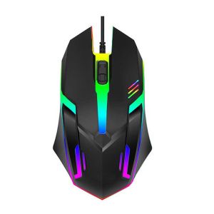 Computer Mouse