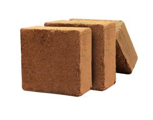 Cocopeat Blocks