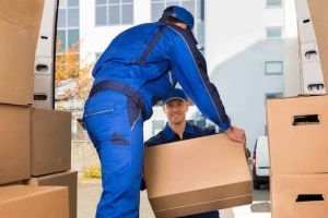 packers movers