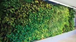 Artificial Green Wall