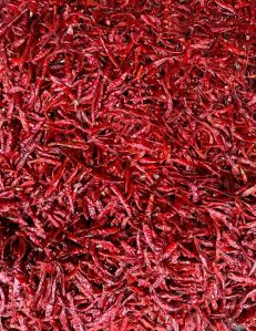 SANNAM S4 DRY RED CHILLI