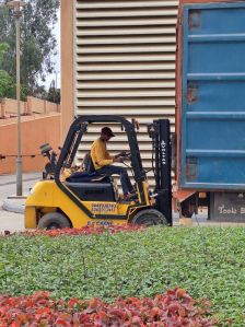 Forklift Rental Service