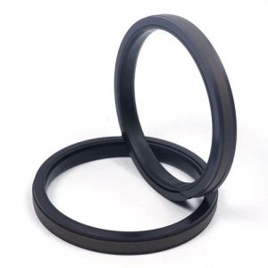 PTFE Piston Seal