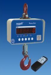 digital crane scale