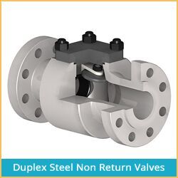 DUPLEX STEEL NON RETURN VALVES