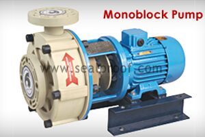 S.S. Centrifugal Monoblock Pump