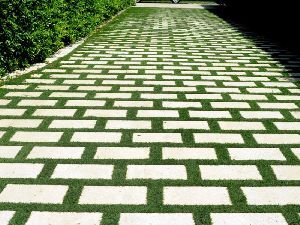 Grass Concrete Pavers