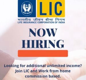 LIC work from home job