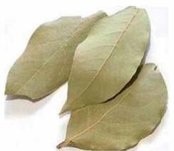 Bay Leaf