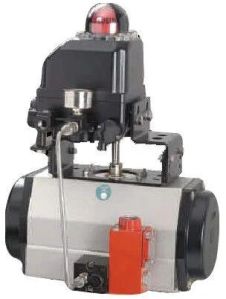 Pneumatic Actuator