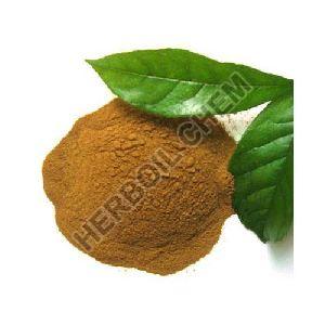 Adhatoda Vasica Leaf Extract