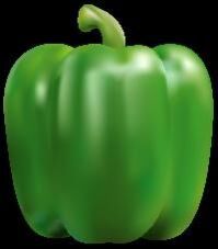 Green Pepper