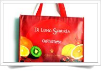 non woven laminated bags