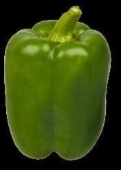 Green Pepper