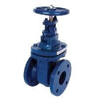 Cast Iron Gate Valve