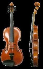 Violin