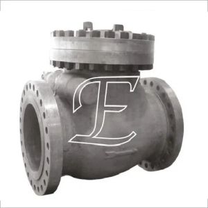 Non Return Valve