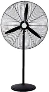 Pedestal Fan