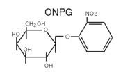 2 Nitrophenyl B D Galactopyranoside [onpg]