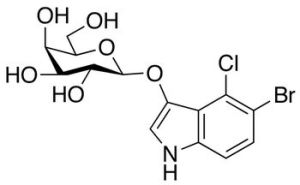 5 Bromo 4 Chloro 3 Indolyl Beta D Gluco Pyranoside [x-glu]