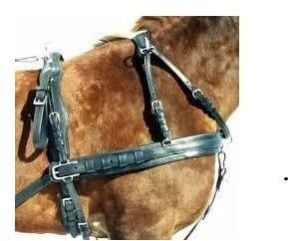 Horse Harness