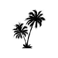 Palm Trees