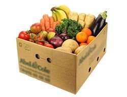 Vegetable Packing Box