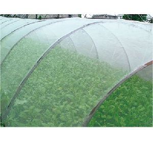 Anti Insect Net