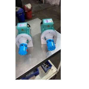 Rotary Gear Pump