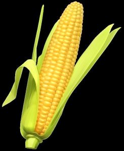 Hybrid Maize Corn 9000
