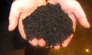 Desi Cow Dung Compost