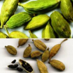 Cardamom Oil