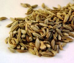 Fennel Seed Oil