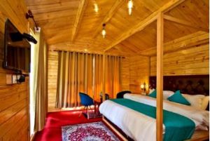 wooden house