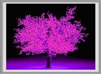 Led Cherry Tree Light