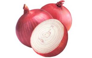 Onion