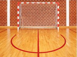 HDPE White Handball Net