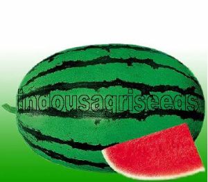 Watermelon F1 Hybrid Seeds