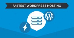 Wordpress Website Development Service