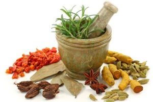 Allernil Ayurvedic medicines