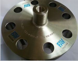 SS 316 Flange Thermowell