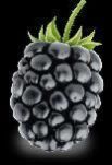 Blackberry