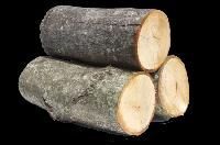 Wood Briquettes