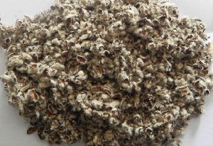 Cottonseed Hull